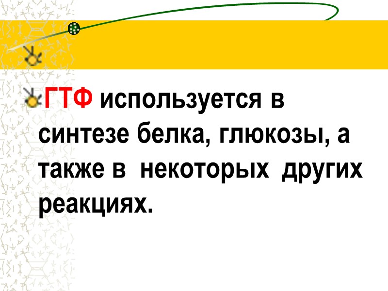 ГТФ используется в синтезе белка, глюкозы, а также в  некоторых  других реакциях.